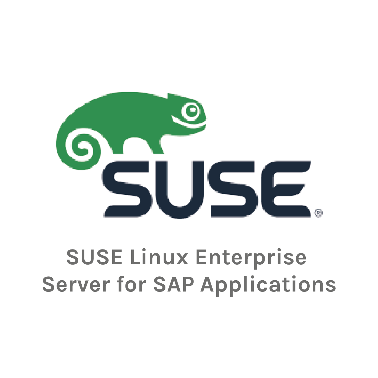 suse1-01.png