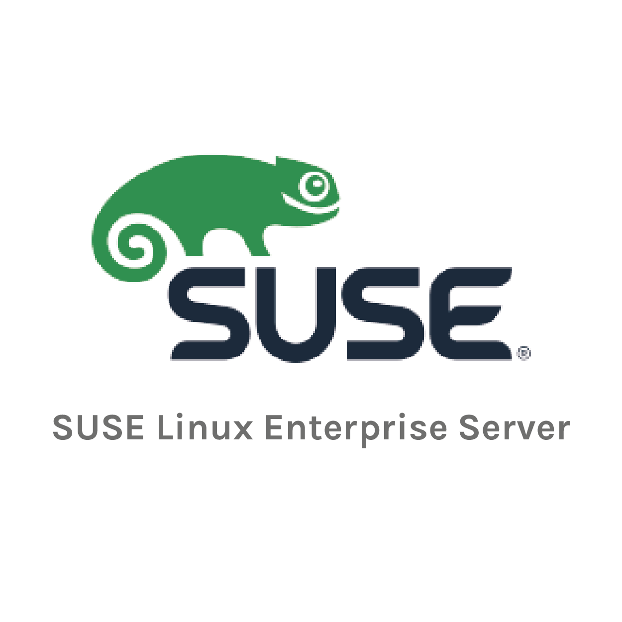 suse2-01.png